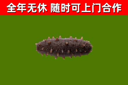 前锋区烟酒回收干海参.jpg